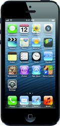 Apple iPhone 5 32GB - Кузнецк