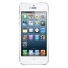 Apple iPhone 5 16Gb white - Кузнецк
