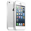 Apple iPhone 5 64Gb white - Кузнецк